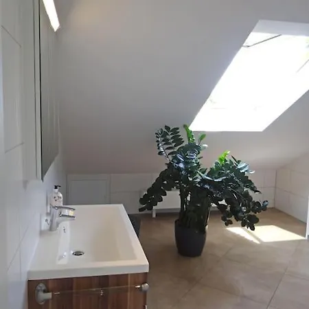 Appartement Kleine Stadtoase Dresden